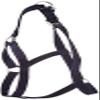 PFIFF 102266-220-Full Halter - Udine - Nylon Halter for Warmbloods, L, Dark Blue view 2