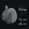 LaserArt24 Granite Pet Memorial Stone with Laser Engraving, Rabbit-ag02 Motif, Photo, Text and Dates view 1
