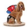 NATURE PET Premium Dog Diaper for Female Dogs, Washable Heat & Incontinence Pants, No Tail Threading, S-L, Black view 1