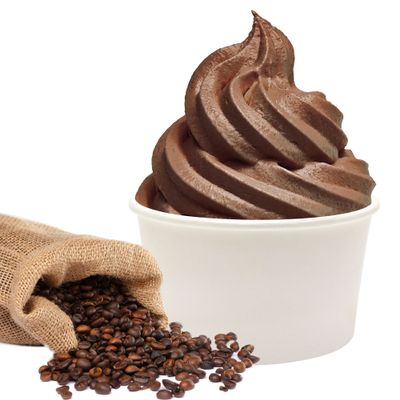 Coffeefee Chocolate Frozen Yogurt Flavor Powder, Gino Gelati (333 g)