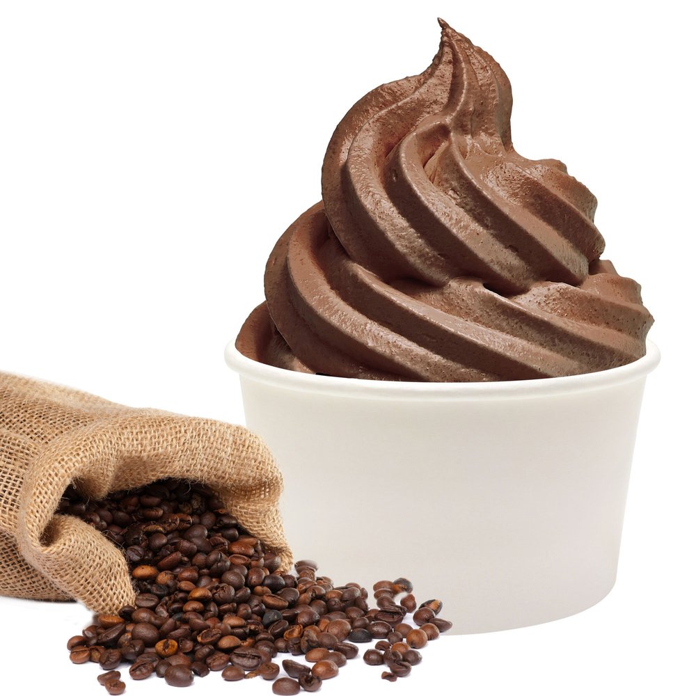 Coffeefee Chocolate Frozen Yogurt Flavor Powder, Gino Gelati (333 g)