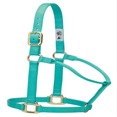 Weaver Leather Original Fixed-Adjustable Weanling/Pony Halter, Mint, Large