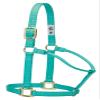 Weaver Leather Original Fixed-Adjustable Weanling/Pony Halter, Mint, Large view 1