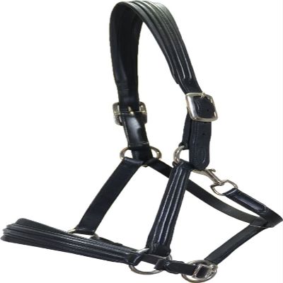 Euroriding Boston Warmblood Halter, Black