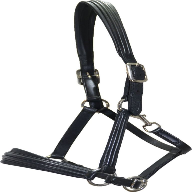 Euroriding Boston Warmblood Halter, Black