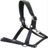 Euroriding Boston Warmblood Halter, Black view 1