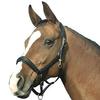 Euroriding Boston Warmblood Halter, Black view 2