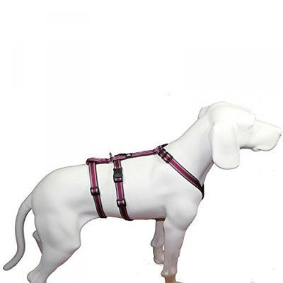 Hoffmann NoExit Dog Harness – Escape-Proof Panic Harness, Plum Pattern, 55–75 cm Girth, 20 mm Strap Width