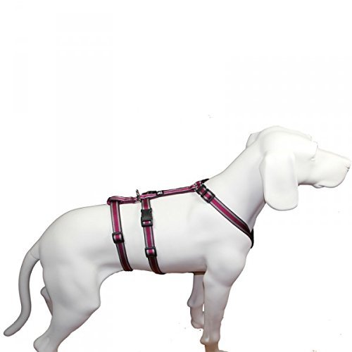 Hoffmann NoExit Dog Harness – Escape-Proof Panic Harness, Plum Pattern, 55–75 cm Girth, 20 mm Strap Width