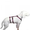Hoffmann NoExit Dog Harness – Escape-Proof Panic Harness, Plum Pattern, 55–75 cm Girth, 20 mm Strap Width view 1
