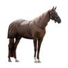 Sweet Itch Rug with Neck and Removable Belly Flap (Brown, 100) view 1