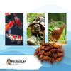 Warnick's Naturhäppchen Dried Silkworms - 3 Liters view 4