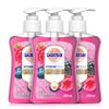 Sagrotan Blackberry & Forest Berries Hand Soap, 3 x 250 ml view 1