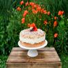 Hobbybäcker Buttercream for Cakes (1 kg), Ready Mix for Approx. 4 Cakes view 4