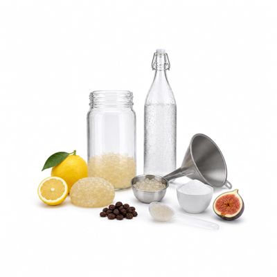 Kefir-for-all Water Kefir Starter Set with Japanese Crystals