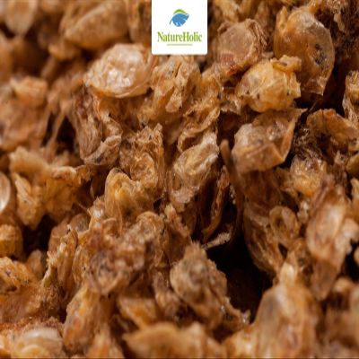 NatureHolic Dried Water Fleas - 25 g