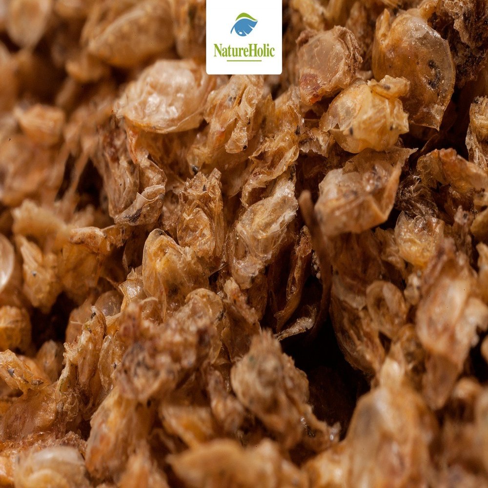 NatureHolic Dried Water Fleas - 25 g