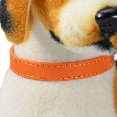 ALCYONEUS Adjustable Collar for Dogs and Cats