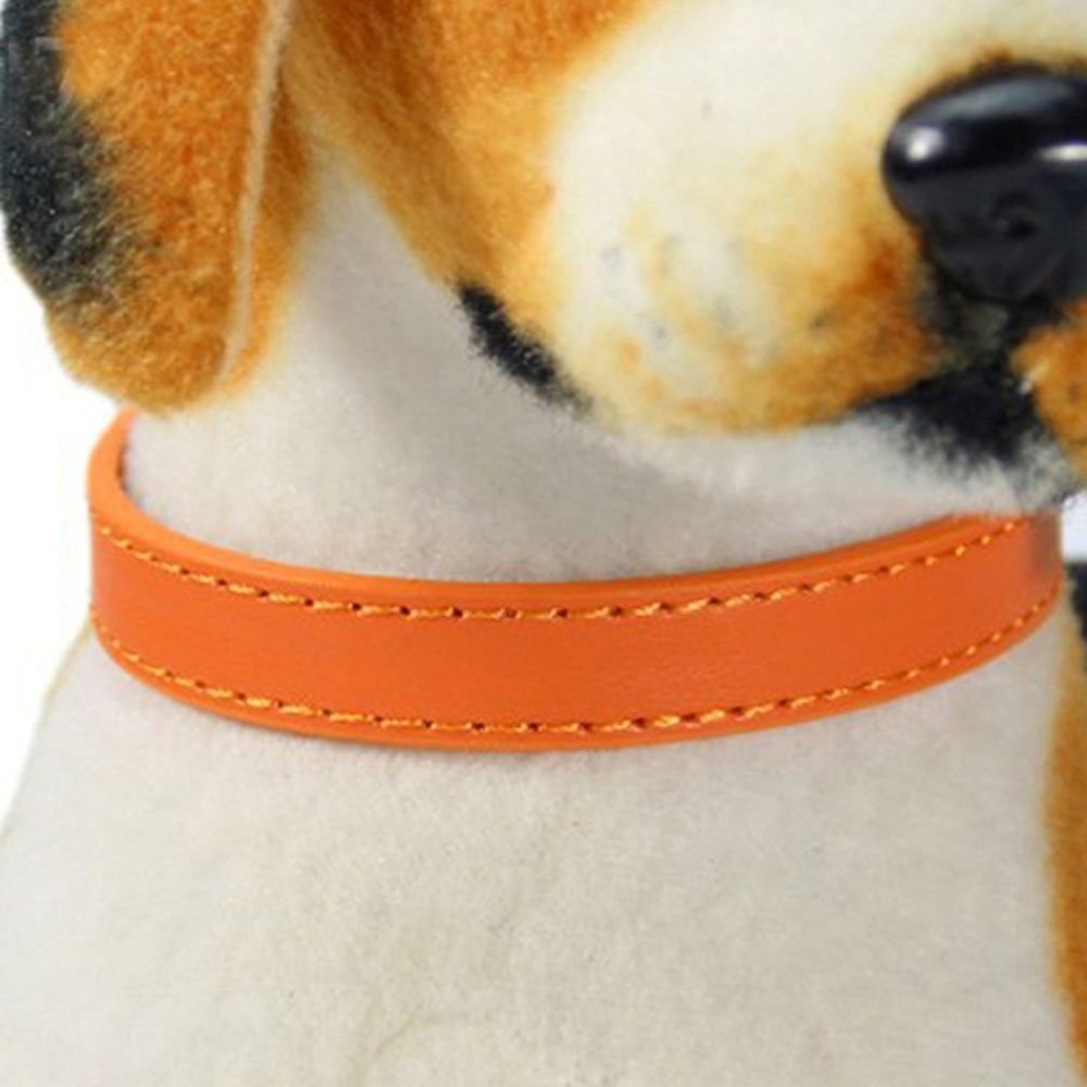 ALCYONEUS Adjustable Collar for Dogs and Cats