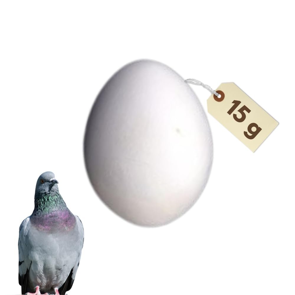 Plaster Nest Eggs for Chickens, Pigeons and Other Poultry
