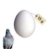 Plaster Nest Eggs for Chickens, Pigeons and Other Poultry view 1