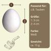 Plaster Nest Eggs for Chickens, Pigeons and Other Poultry view 2