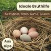 Plaster Nest Eggs for Chickens, Pigeons and Other Poultry view 3