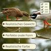 Plaster Nest Eggs for Chickens, Pigeons and Other Poultry view 4