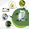 Fennel 500 mg, Foeniculum vulgare Miller, Vegan, Magnesium Stearate-Free, 90 Capsules view 3