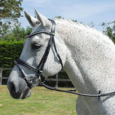 Rhinegold Anatomical Bridle, Havana
