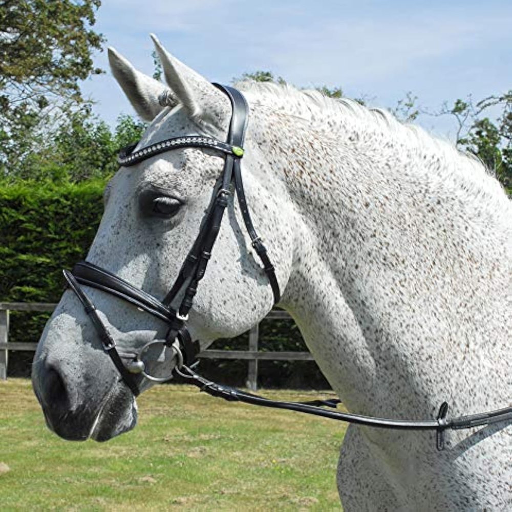 Rhinegold Anatomical Bridle, Havana