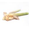 ORGANIC LEMONGRASS ESSENTIAL OIL – 5 mL – Premium Quality, 100% Pure, Natural, Full-Spectrum view 3