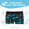 Dry & Cool Boys' Incontinence Brief DINO (80 ml), 110–116 cm view 2