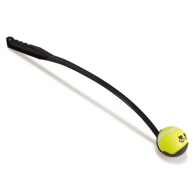 Arquivet Interactive Toy with Ball