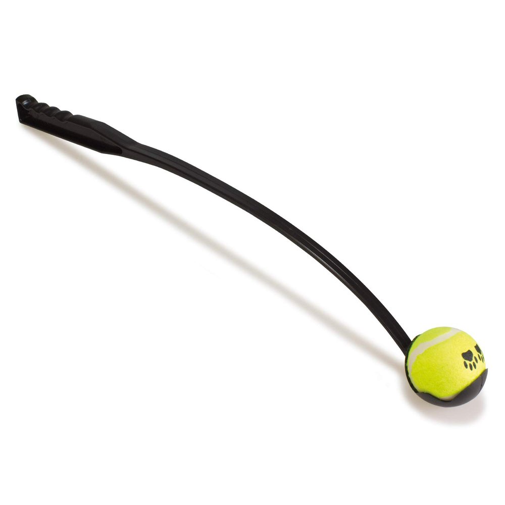 Arquivet Interactive Toy with Ball