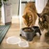 Rotho MyPet Sally Double Dog Bowl with Lid, BPA-Free Plastic, Anthracite, 1L + 0.28L view 2