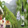 ALPHAPOWER FOOD Stevia Sugar-Free Flavor Drops, Marzipan view 3