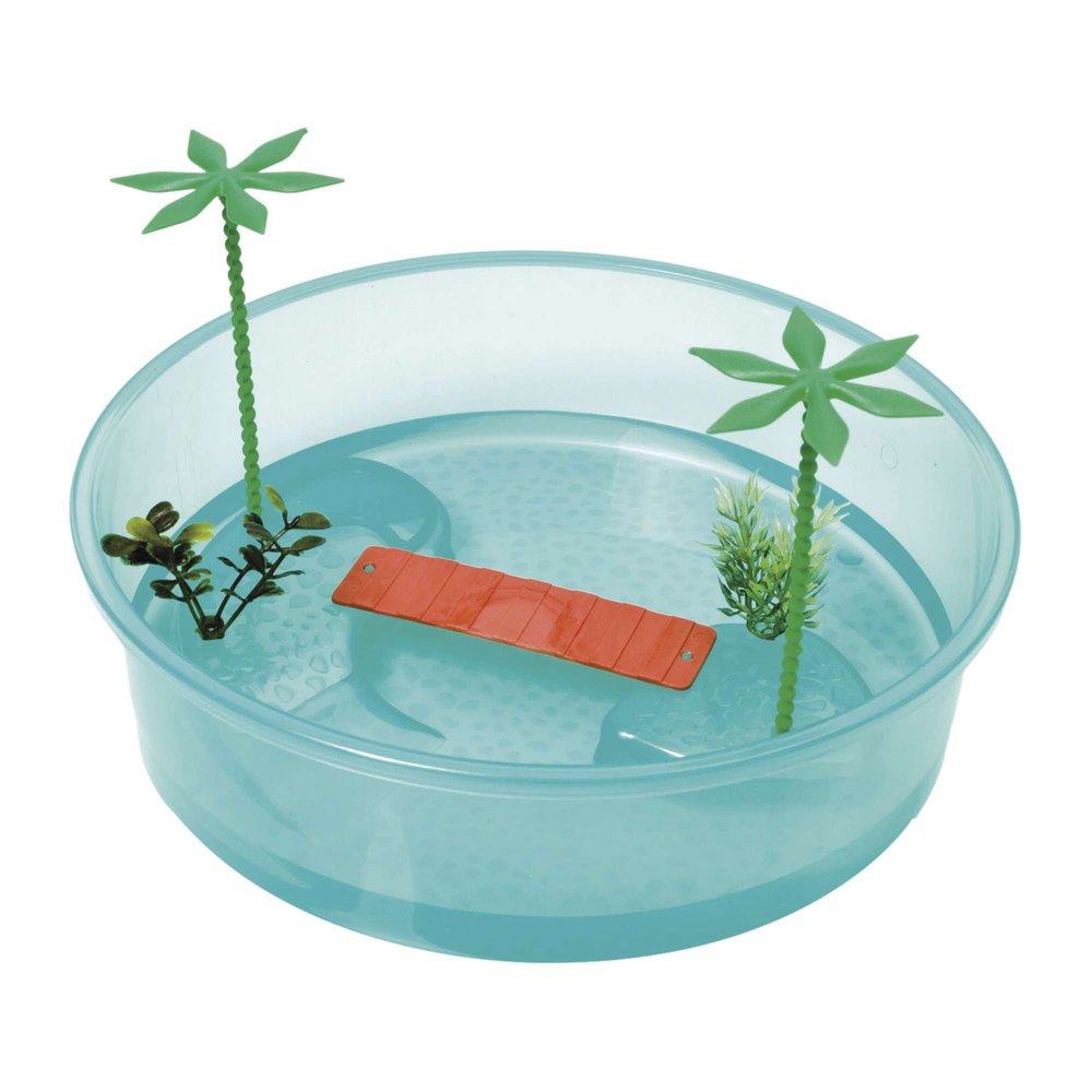 Unknown Turtle Round Island 26 x 7.5 cm Blue