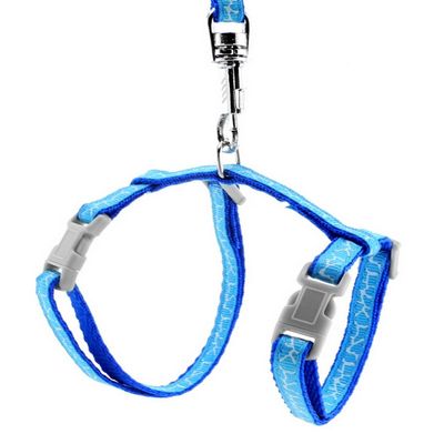Ranphy Small Dog Harness and Leash Set