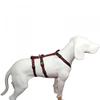 The Original NoExit Dog Harness – 100% Escape-Proof, Black with Red Paw Prints, 35–50 cm view 1