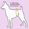 Glenndarcy Dog Diapers for Female Dogs in Heat, Pink Polka Dot view 3