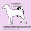 Glenndarcy Dog Diapers for Female Dogs in Heat, Pink Polka Dot view 4