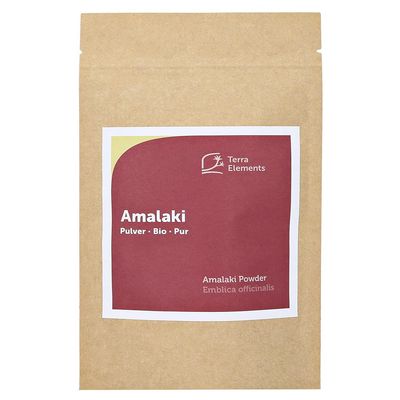 Terra Elements Organic Amalaki Powder, 100 g | Amla Berry | 100% Pure | Vegan | Raw Food