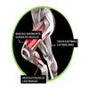ORIONE Elastic Knee Support POWER BAND TAPING Art. 488 - Gray, Extra Extra Large, 51–57 cm view 4