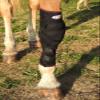 TSM vet-Reha Narcolepsy Bandage for Horses, Left Front Leg | Elastic Carpal & Fetlock Protection view 2