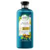 Herbal Essences Bio:Renew Argan Oil of Morocco Repair Shampoo, 400 ml view 1
