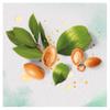 Herbal Essences Bio:Renew Argan Oil of Morocco Repair Shampoo, 400 ml view 4