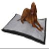 Kerbl Pet Trip Dog Mat 140 x 100 x 4 cm, Gray/Black view 3