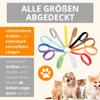 AMATHINGS Puppy Collar Set in 12 Colors view 4