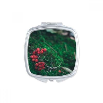 DIYthinker Flower Branch Nature Landscape Compact Makeup Pocket Mirror, Portable Cute Small Hand Mirror Gift, Multicolor